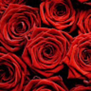 Meet your Posher, Celia